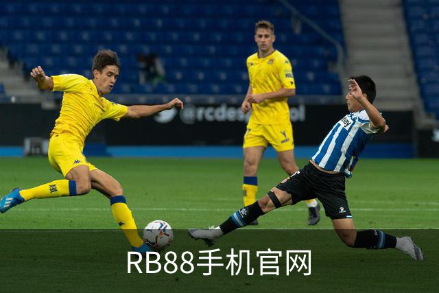 RB88手机官网公司简介